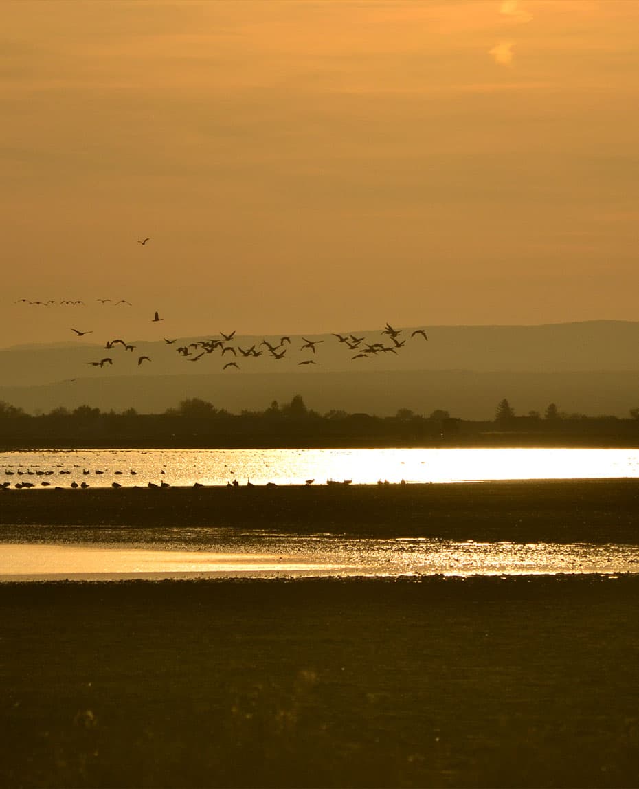 Pannonia Tower Hotel Parndorf Gruppenreisen